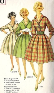 1960s shirtwaist dress 2